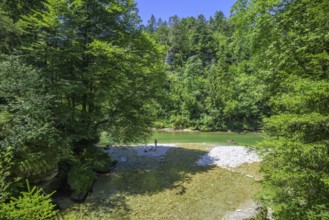 Einmündung Krumme Steyrling in den Steyr Fluss von der Brücke aus, Molln, Oberösterreich,