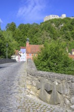 Steinerne Brücke mit Zunftzeichen und Burgruine von, Kallmünz, Bayern, Deutschland