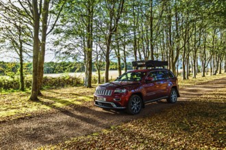 4x4 car with roof tent on autumn forest road, Tyninghame House, River Tyne, East Lothian, Scotland,