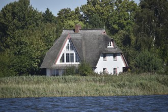 Haus mit Reetdach am Borner Bodden auf dem Darß, Mecklenburg-Vorpommern, Deutschland