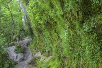 Rinnende Mauer am Steyr Fluss, Molln, Oberösterreich, Österreich