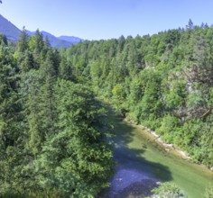 Schluchtenblick Steyr Fluss, Molln, Oberösterreich, Österreich