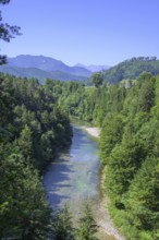 Schluchtenblick Steyr Fluss, Molln, Oberösterreich, Österreich