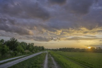 Sonnenuntergangsstimmung beim Damm, Infozentrum Isarmündung, Moos, Bayern, Deutschland