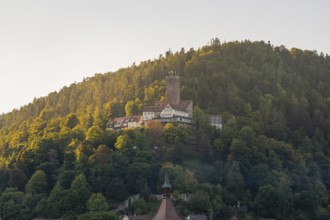 Burg auf einem mit Wald bedeckten Hügel, umgeben von herbstlichen Farben im Sonnenlicht, Bad