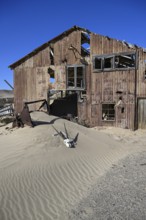 Schädel einer Oryx-Altilope (Oryx gazella) vor einer Ruine der ehemaligen Diamantenstadt Pomona,