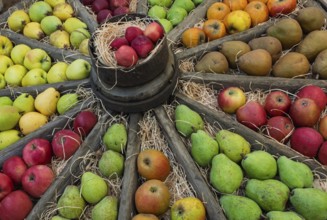 Äpfel und Birnen in einem alten Wagenrad, Münsterland, Nordrhein-Westfalen, Deutschland