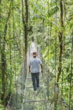 Man walkng on hanging bridge in rainforest, La Fortuna, Alajuela province, Costa Rica