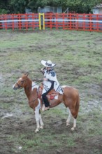 Rodeo, La Fortuna, Arenal, Costa Rica, Central America