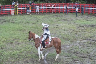 Rodeo, La Fortuna, Arenal, Costa Rica, Central America