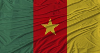 Cameroonian flag waving. Flag of Cameroon with cloth texture