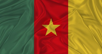 Flag of Cameroon with cloth texture. Close up of Cameroon flag waving