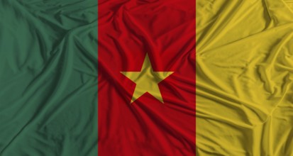 Cameroonian flag with fabric texture background. National flag of Cameroon