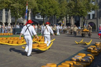 Männer in roten Hüten tragen Käseräder auf einem traditionellen Marktplatz mit vielen Besuchern,