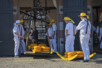 Männer mit gelben Hüten und weißer Kleidung tragen Käse auf einem Tragegestell zur ehemaligen