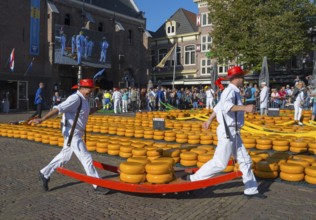 Männer mit roten Hüten tragen Käse durch einen belebten, sonnigen Stadtmarkt, Käseträger, Käse,