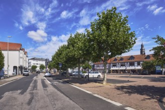 Allgemeine Architektur, Laterne, Straße aus Asphalt, Parkplatz mit Autos, Bäume, blauer Himmel,