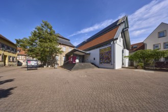 Stadtmuseum Hofheim am Taunus, Innenstadt, Gebäude, Eingang, Treppe, Bäume, allgemeine Architektur,
