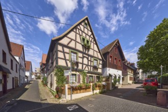 Fußgängerzone, historisches Fachwerkhaus, Gebäude, allgemeine Architektur, Bäume, blauer Himmel,
