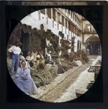 'Espartería en Almería' 1890 photographers Hermenegildo Otero and Miguel Aguirre, circular magic