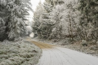 Forest road going through a mixed forest white from roarfrost on a sunny day in winter, Bavaria,