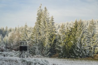 Hunting pulpit on a meadow in a valley surrounded by a mixed forest with norway spruce (Picea