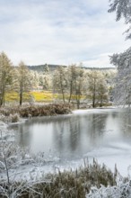 A frozen pont in a valley surrounded by a mixed forest with norway spruce (Picea abies) and