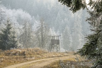 Hunting pulpit on a meadow beside a little forest road in a valley surrounded by a mixed forest