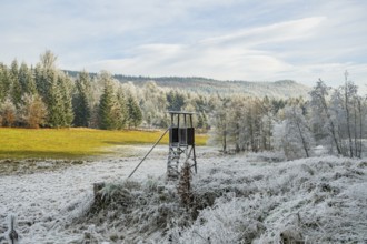 Hunting pulpit on a meadow in a valley surrounded by a mixed forest with norway spruce (Picea