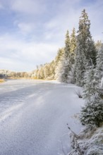 A frozen pont in a valley surrounded by a mixed forest with norway spruce (Picea abies) and