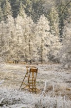 Hunting pulpit in a valley white from roarfrost on a sunny day in winter, Bavaria, Germany
