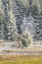 Hunting pulpit on a meadow in a valley surrounded by a mixed forest with norway spruce (Picea