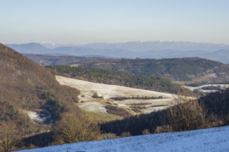 Typical valley with bushes, trees and meadows with the high tarta mountains in the background in