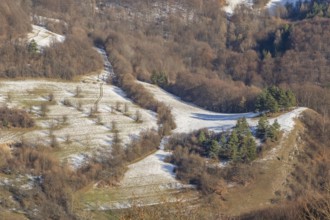 Typical valley with bushes, trees and meadows in winter, Vápec, Horná Poruba, Slovakia