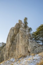 Scots pine (Pinus sylvestris) trees growing on a huge rock in winter, Vápec, Horná Poruba, Slovakia