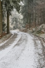 Forest road going through a mixed forest white from roarfrost on a sunny day in winter, Bavaria,
