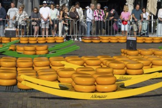 Cheese market in Alkmaar with famous yellow cheese wheels and crowd in the background, Cheese,