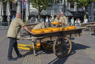 Men in uniforms transporting large wheels of cheese on a wooden cart on a market square, cheese,