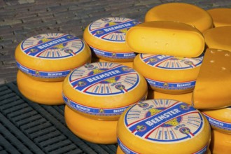 Close-up of stacked Beemster cheese wheels with distinctive labels, Cheese, Cheese market, Alkmaar,