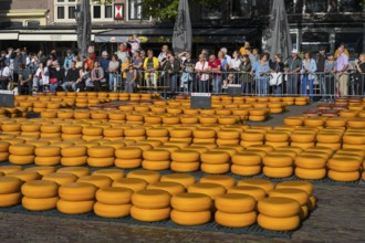 Rows of cheese in front of an interested audience at a city market, cheese, cheese market, Alkmaar,