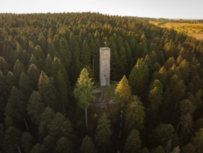 The tower towers high between the trees, illuminated by the last rays of daylight, Mandelberg