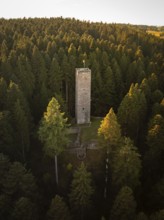 A stone observation tower rises up between tall trees, surrounded by soft twilight, Mandelberg