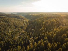 A view over hilly, tree-covered landscapes in the soft light of late day, Mandelberg castle ruins,
