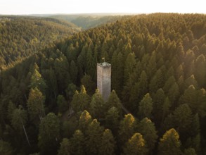 A massive tower rises out of an ocean of trees bathed in warm light, Mandelberg castle ruins,