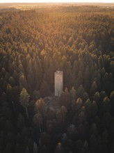 An observation tower rises in the middle of a wooded hill, illuminated by warm evening light,