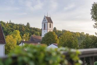 Village with church tower surrounded by lush nature and trees, peaceful atmosphere, Aidlingen,
