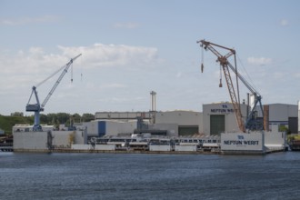 Neptun shipyard with large cranes and industrial buildings, harbour, Warnemünde, Rostock,
