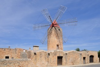Windmill Moli den Xina, Algaida, Majorca, Balearic Islands, Spain