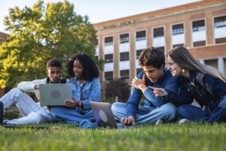 Group of diverse university students sitting on green campus grass, studying together and sharing