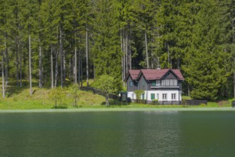 View over Lake Toblach to a house standing directly on the shore, Toblach, Höhlensteintal, South